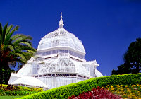 Golden Gate Park