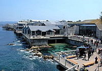 Monterey Fisherman's wharf, N. California