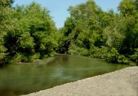 Russian River, Sonoma County