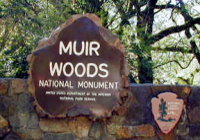 Muir Woods National Park, CA