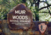 Muir Woods